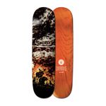 Shape-Element-Sbxe-What-Will-It-Take-8_180-ASSORTED-U