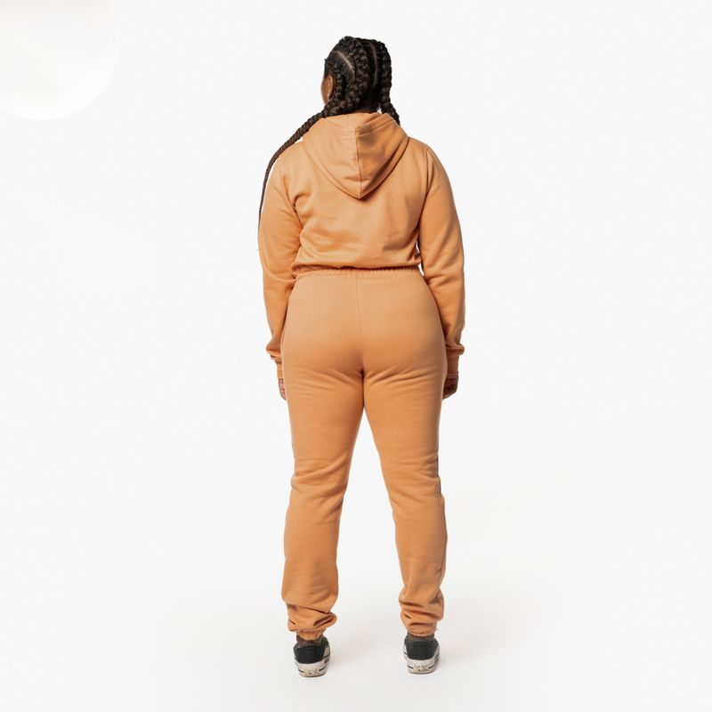 Calca-Roxy-Keeping-It-True-Pants-280G-SALMAO-P