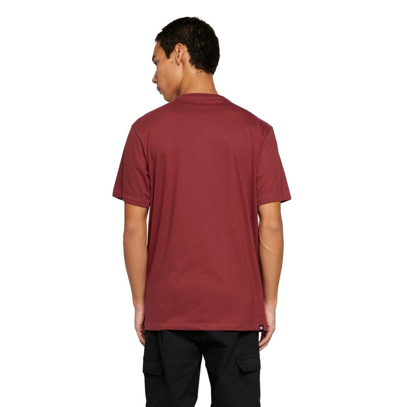 Camiseta-Element-M-C-Vertical-Color-Vinho-P