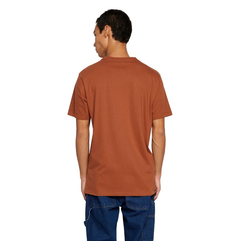 Camiseta-Element-M-C-Blazin-Color-Marrom-P