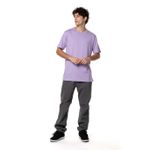Camiseta-Quiksilver-M-C-Embroidery-Colors-Lilas-P
