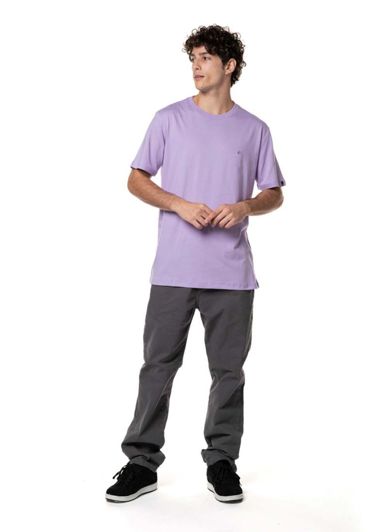 Camiseta-Quiksilver-M-C-Embroidery-Colors-Lilas-P