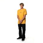 Camiseta-Quiksilver-M-C-Dragon-Fist-Mostarda-P