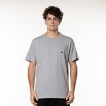 Camiseta-Quiksilver-M-C-Embroidery-Cinza-Mescla-P