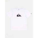 Camiseta-Quiksilver-M-C-Comp-Logo-Branco-Branco-M