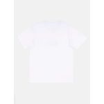 Camiseta-Quiksilver-M-C-Comp-Logo-Branco-Branco-M