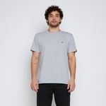 Camiseta-Quiksilver-M-C-Embroidery-Cinza-Mescla-P