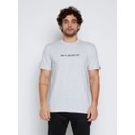 Camiseta-Quiksilver-M-C-New-Omni-Cinza-Claro-Mescla-P