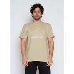 Camiseta-Quiksilver-M-C-New-Tour-Caqui-Caqui-P
