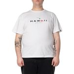 Camiseta-Quiksilver-M-C-Hi-State-Of-Mind-Ps-Branco-3G------