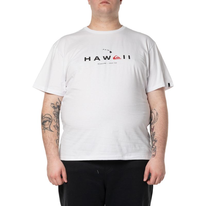 Camiseta-Quiksilver-M-C-Hi-State-Of-Mind-Ps-Branco-3G------