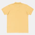 Polo-Quiksilver-M-C-Embroidery-Piquet-Mostarda-Mostarda-M