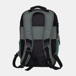 Mochila-Quiksilver-Freeday-20L-Laurel-Wreath-U