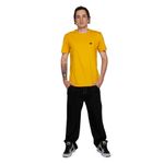 Camiseta-DC-Shoes-M-C-Embroidery-Amarelo-Amarelo-P