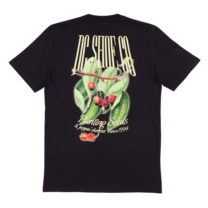 Camiseta-DC-Shoes-M-C-Seed-Planter-Preto-Preto-P