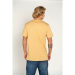 Camiseta-Quiksilver-M-C-Embroidery-Caqui-P