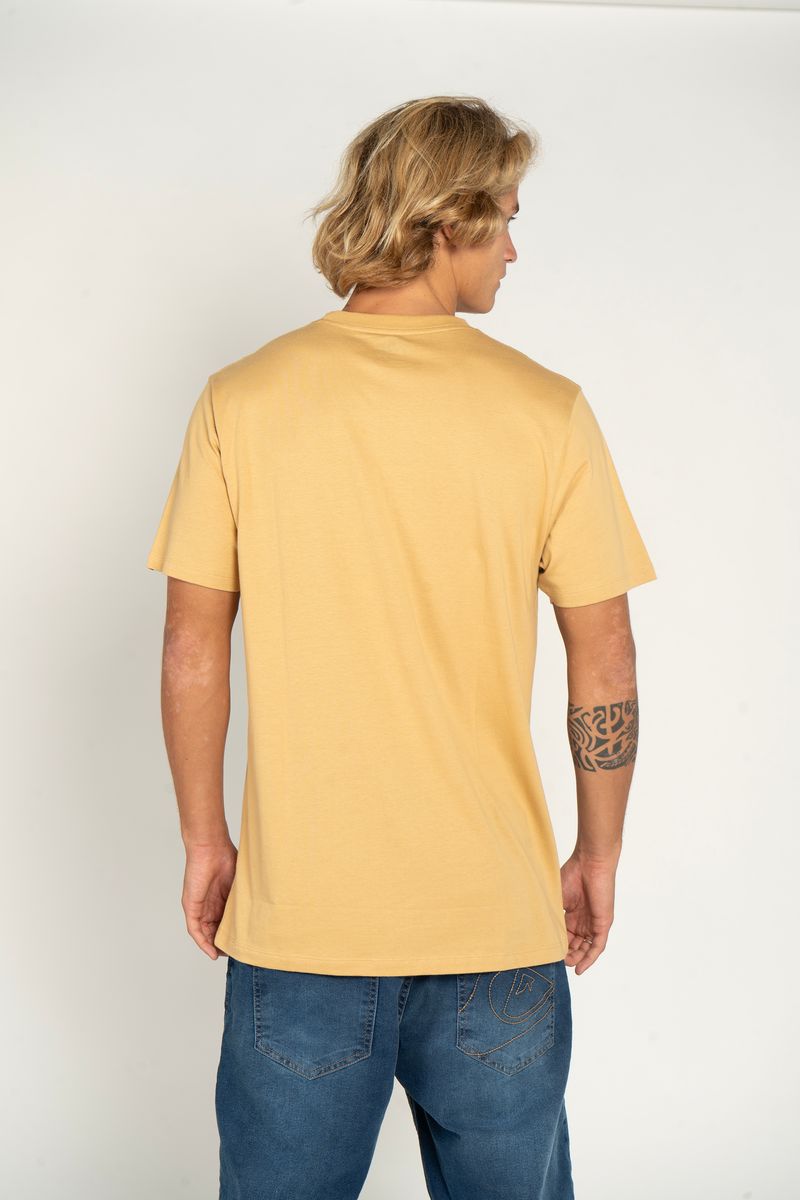 Camiseta-Quiksilver-M-C-Embroidery-Caqui-P