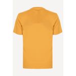Camiseta-Quiksilver-M-C-Embroidery-Mostarda-P