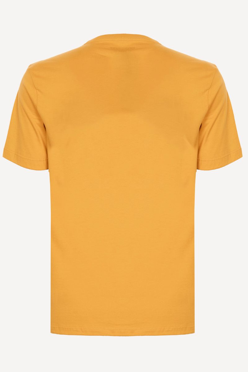 Camiseta-Quiksilver-M-C-Embroidery-Mostarda-P