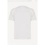 Camiseta-Quiksilver-M-C-Impaired-Logo-Dna-Branco-P