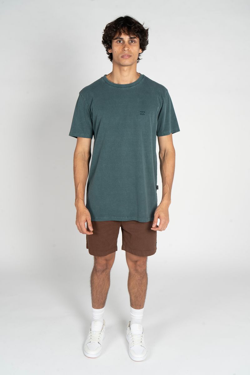 Camiseta-Billabong-M-C-Essential-Iii-Ww-Verde-Escuro-VERDE-ESCURO-P