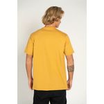 Camiseta-Quiksilver-M-C-Tijuana-Caqui-Caqui-P