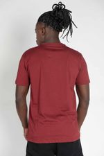 Camiseta-DC-Shoes-M-C-Embroidery-Bordo-Bordo-P