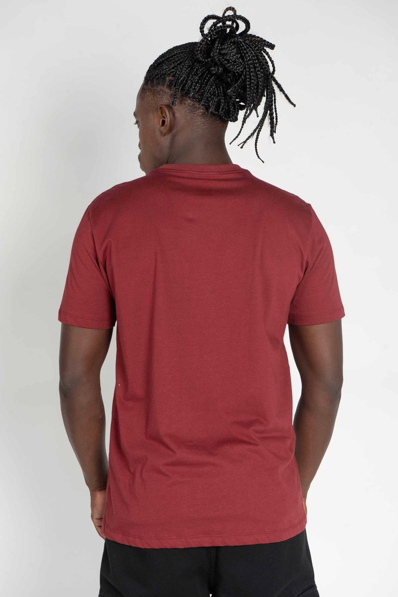 Camiseta-DC-Shoes-M-C-Embroidery-Bordo-Bordo-P