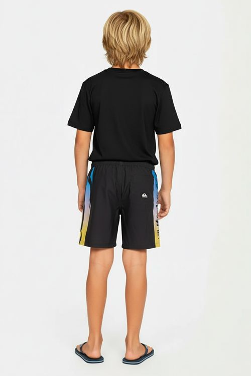 Boardshort Quiksilver Everyday Holmes 17 Kd Preto